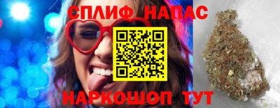 СК Рязань